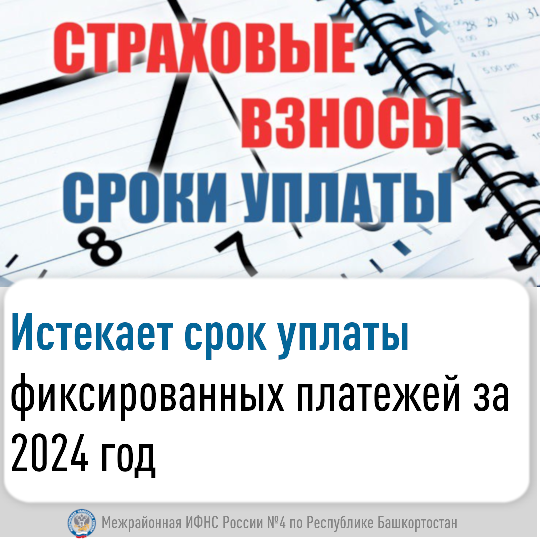 Истекает срок уплаты фиксированных платежей за 2024 год