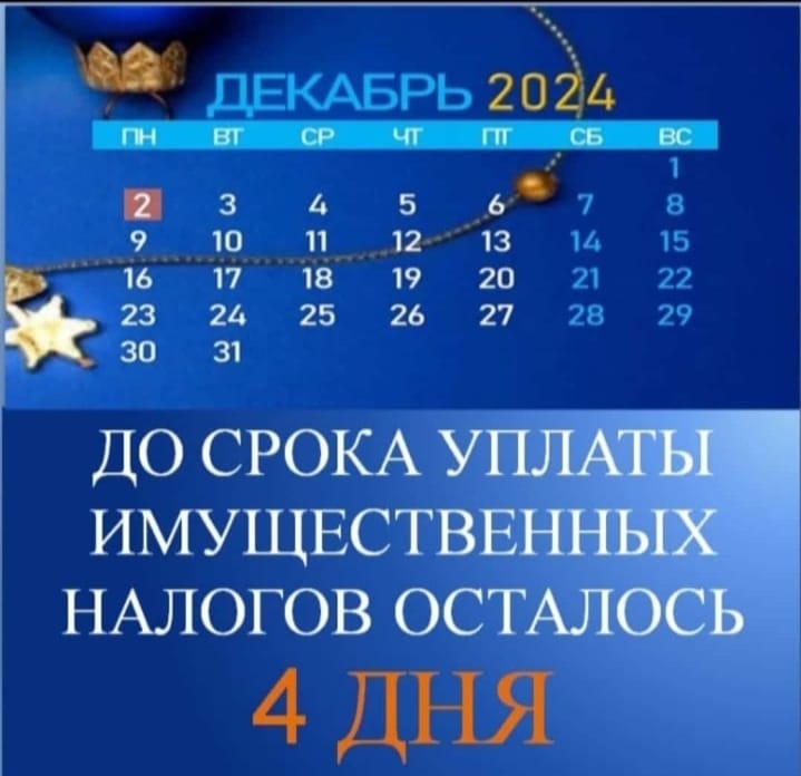 Осталось четыре дня  до истечения срока уплаты налогов